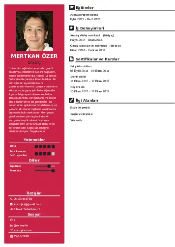 Dalgıç CV Örnekleri cv indir